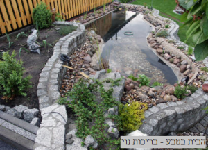 בריכת נוי מבטון
