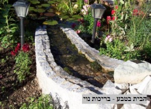 מפל מים לגינה